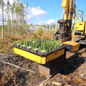 planting for the future